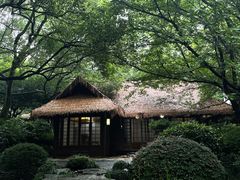 -中国茶叶博物馆(双峰馆区)