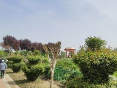 -曹州牡丹园