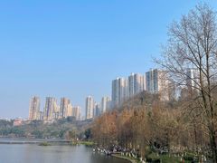 -重庆彩云湖湿地公园