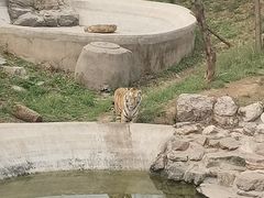 -石家庄市动物园