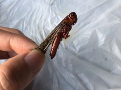 -曼听小寨岩香宰傣家美食城(勐海路店)