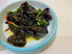 凉拌黑木耳-北海渔村酒楼·粤菜海鲜点心(新华店)