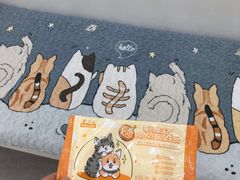 -瑞鹏宠物医院犬猫全科(真大分院)