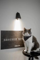 点击看大图 -BROTHER西服礼服定制·商务·婚礼(佛山南海店)