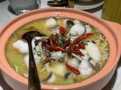 -Aqua Oasis 水天堂(太湖中心mall店)