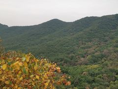 -皇藏峪国家森林公园