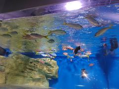 -广州海洋馆