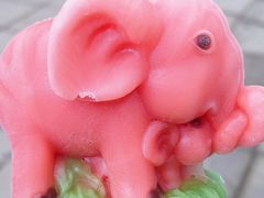 -秦皇岛野生动物园