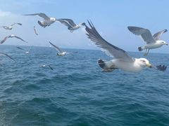 -星海广场