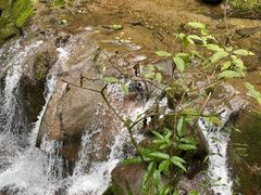 -华冠悠岚·庭院餐厅(青城后山店)