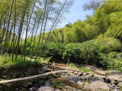 -宁波浙东大竹海景区