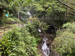 -东天目山风景区