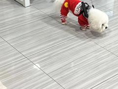 -纳吉亚猫专科动物医院(康都外科中心)
