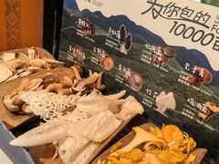 -芸山季·云南山珍菌火锅(人民广场来福士店)