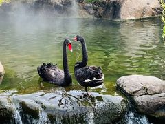 -罗红摄影艺术馆