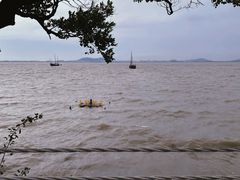 -贡湖湾湿地公园