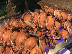 -南湖名都·景湖轩全日制餐厅·海鲜自助·东南亚风味·临湖而食