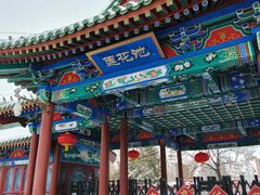 -莲花池公园
