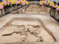 -洛阳周王城天子驾六博物馆