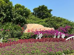 -五缘湾湿地公园