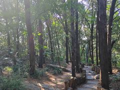 -云龙山