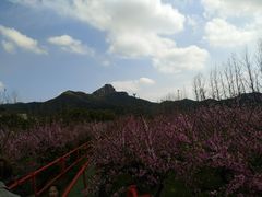 -松兰山海景大酒店·海鲜中餐厅