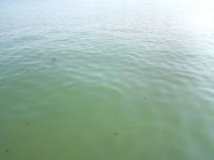 -暨阳湖生态园