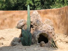 -宁波野生动物园