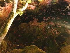-醍醐寺