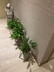 -苑苑vbeauty科技美容SPA