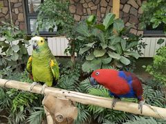 -南宫五洲植物乐园