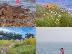 -青岛第三海水浴场