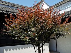 -绮园景区