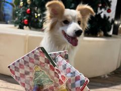 -小意思咖啡店(草桥店)