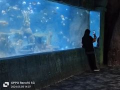 -南昌海洋公园