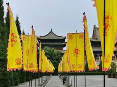 -大槐树寻根祭祖园