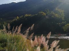 -九鲤溪瀑景区