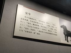 -荆州博物馆