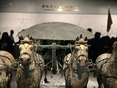 -秦始皇帝陵博物院-丽山园
