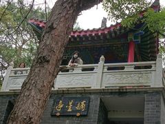 -青龙山国家森林公园