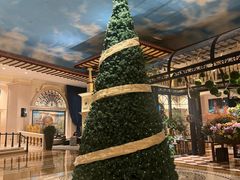 -深圳威尼斯英迪格酒店