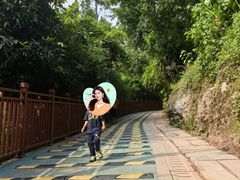 -重庆彩云湖湿地公园