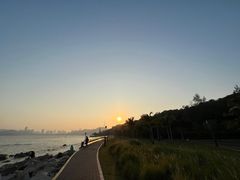 -野狸岛