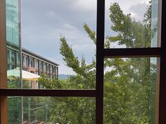 -逸廊大堂吧-下午茶·简餐-千岛湖自由洲际殿