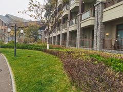 -扁鹊湖阿尔卡迪亚国际度假酒店