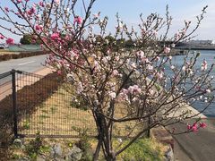 -横滨红砖仓库1号馆