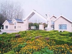 -水杉园