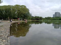 -太阳宫公园