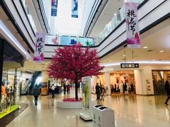 -永旺梦乐城国际商城(北清路店)