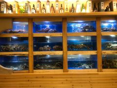 水产区-大岛日本料理铁板烧(南通大饭店)